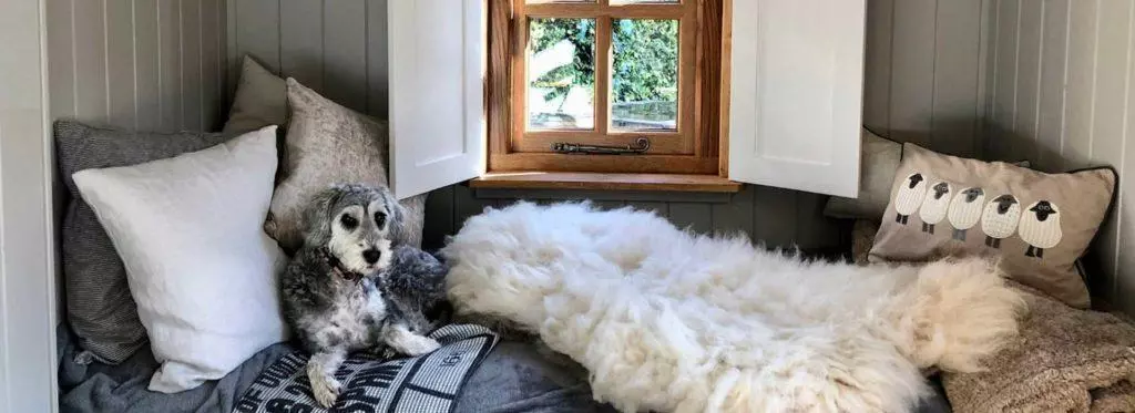 Uses for shepherd's huts: House Extensions