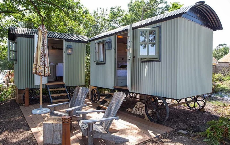 THE PIG - on the Beach