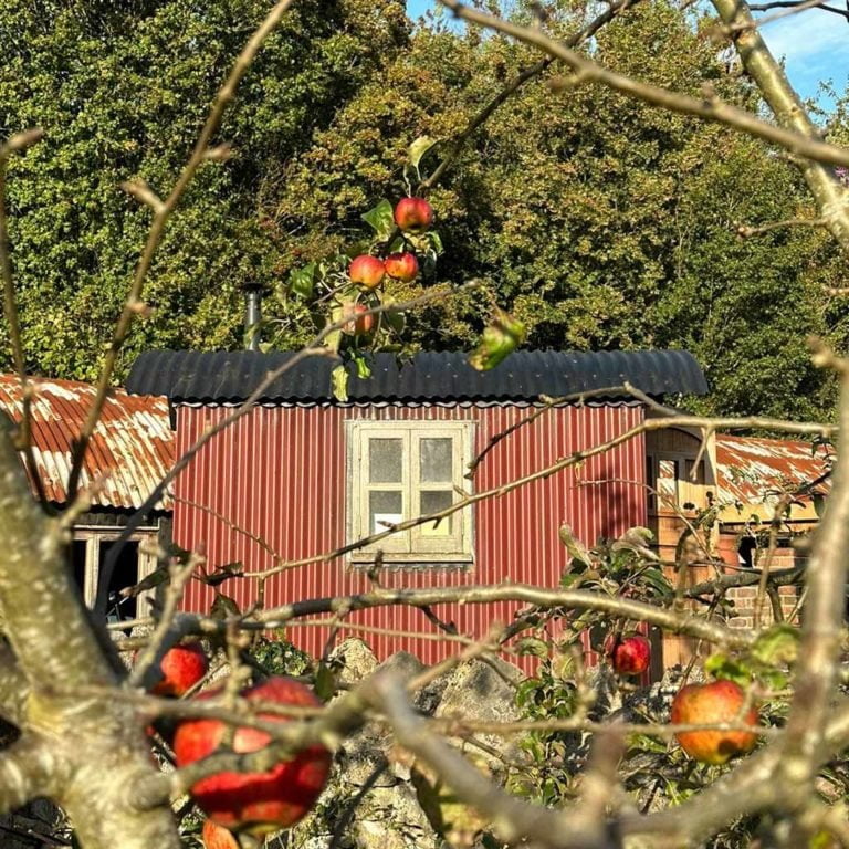 Plankbridge writer's hut
