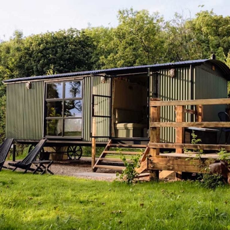 Crabtree in the Woods