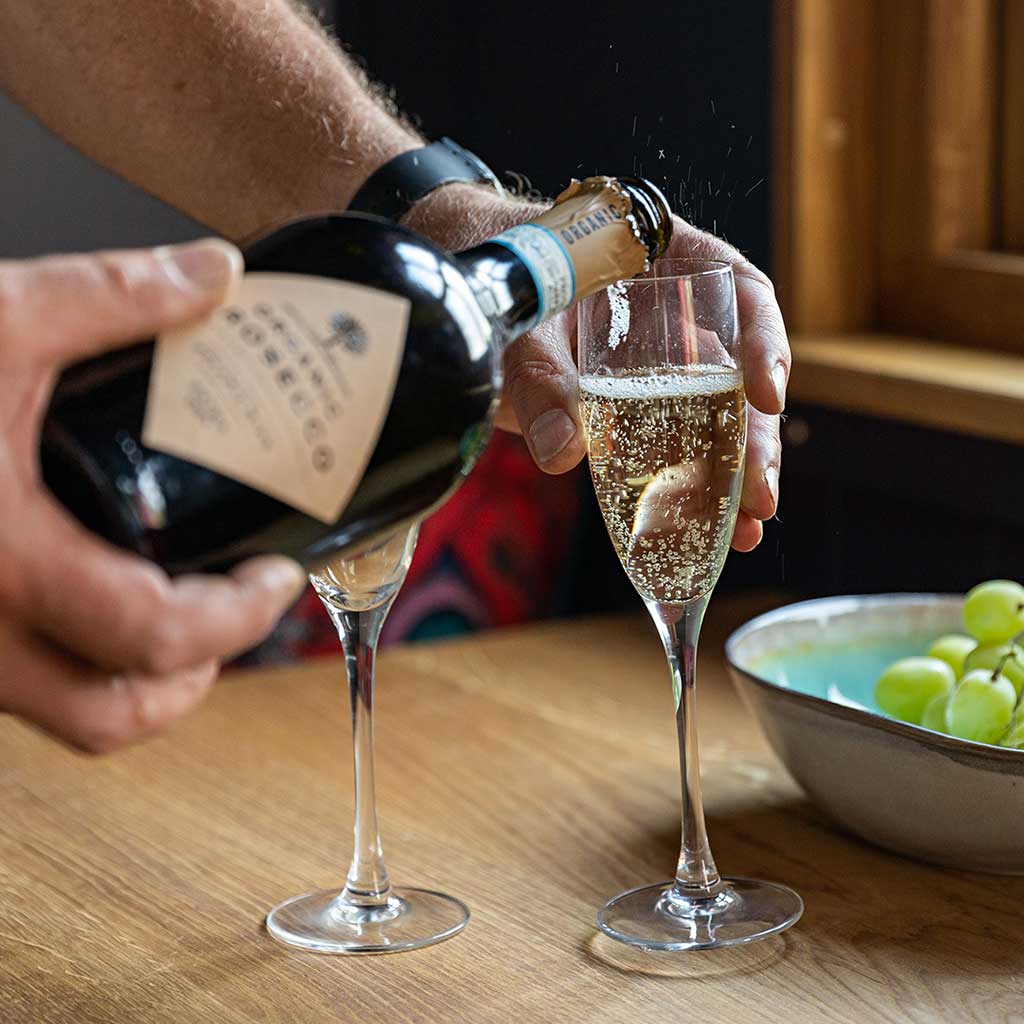 Plankbridge social media packages