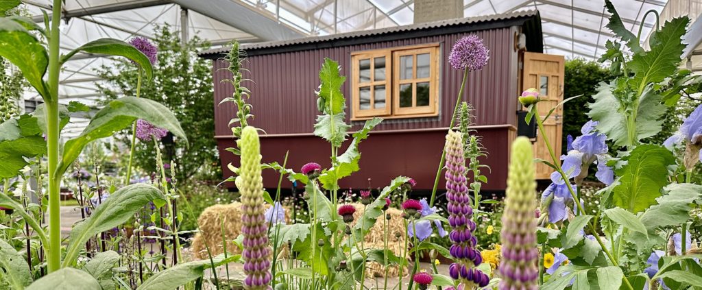 The RHS Bothy seen at RHS Chelsea Flower Show 2023